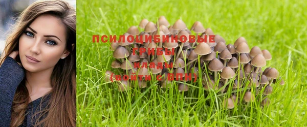 mdpv Кодинск