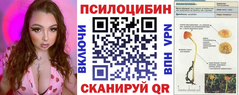 Купить где  Пугачёв  Псилоцибиновые грибы Psilocybine cubensis 